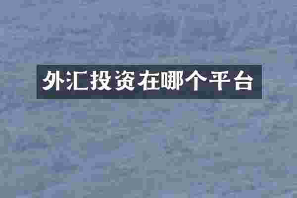 外汇投资在哪个平台
