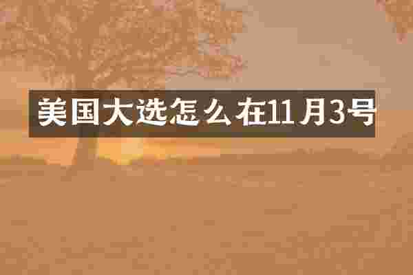美国大选怎么在11月3号