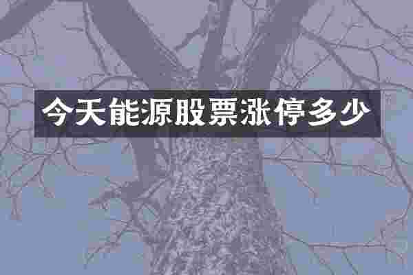 今天能源股票涨停多少
