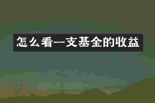 怎么看一支基金的收益