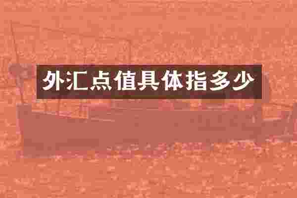 外汇点值具体指多少