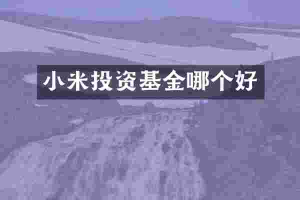 小米投资基金哪个好