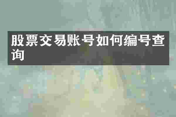股票交易账号如何编号查询
