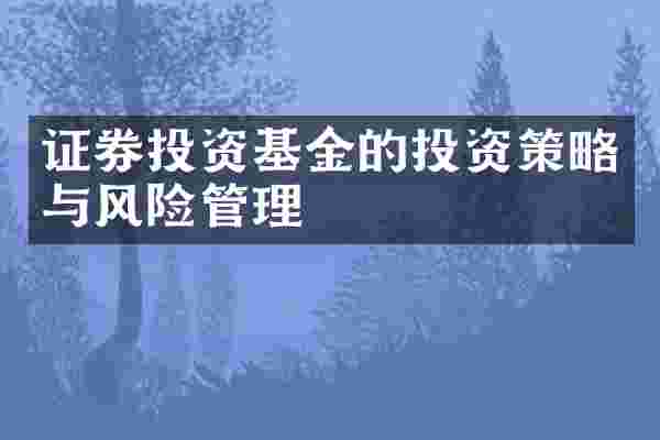 证券投资基金的投资策略与风险管理