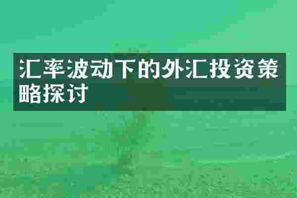 汇率波动下的外汇投资策略探讨