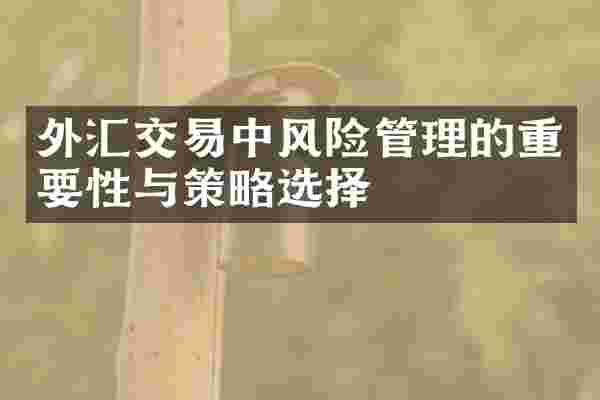 外汇交易中风险管理的重要性与策略选择