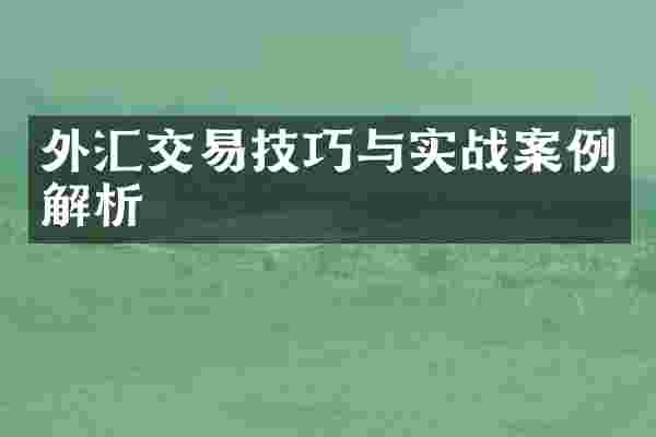 外汇交易技巧与实战案例解析