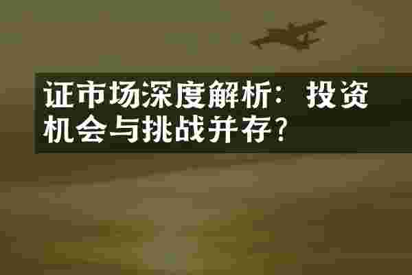证刓市场深度解析：投资机会与挑战并存？