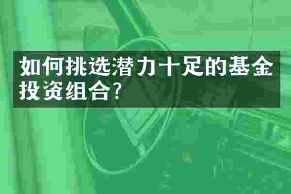 如何挑选潜力十足的基金投资组合？