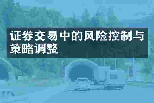 证券交易中的风险控制与策略调整