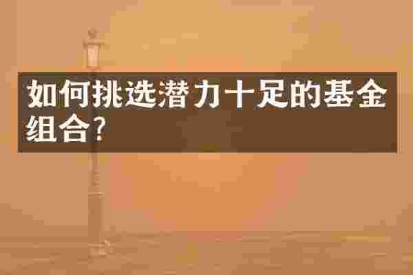 如何挑选潜力十足的基金组合？