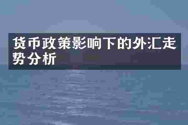 货币政策影响下的外汇走势分析