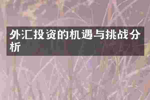 外汇投资的机遇与挑战分析