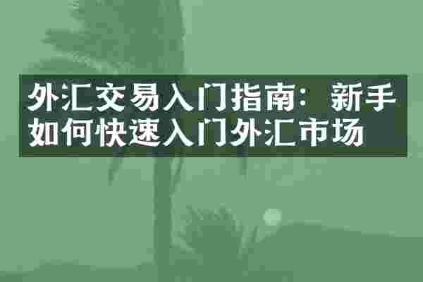 外汇交易入门指南：新手如何快速入门外汇市场