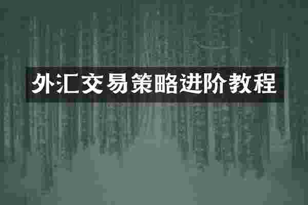 外汇交易策略进阶教程