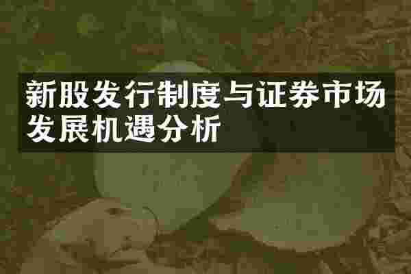 新股发行制度与证券市场发展机遇分析