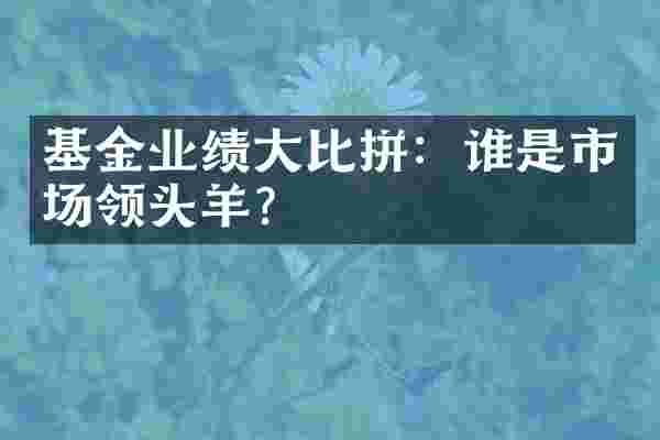 基金业绩大比拼：谁是市场领头羊？
