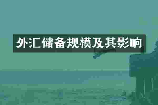 外汇储备规模及其影响
