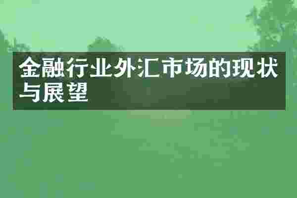 金融行业外汇市场的现状与展望