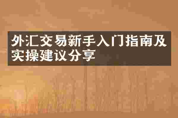 外汇交易新手入门指南及实操建议分享