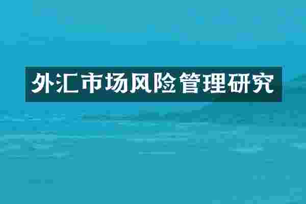 外汇市场风险管理研究