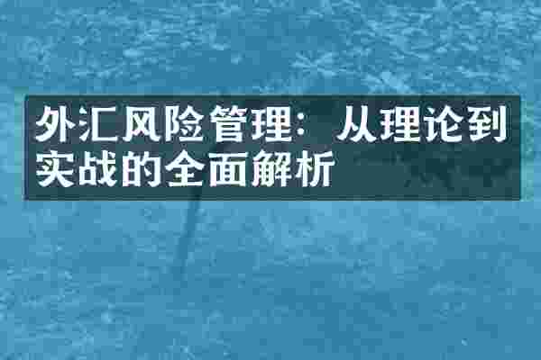 外汇风险管理：从理论到实战的全面解析