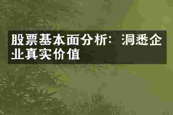 股票基本面分析：洞悉企业真实价值