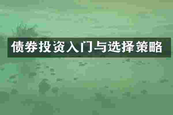 债券投资入门与选择策略