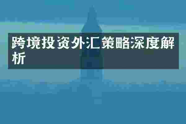 跨境投资外汇策略深度解析