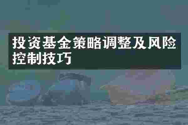 投资基金策略调整及风险控制技巧