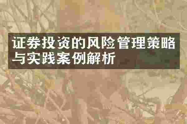 证券投资的风险管理策略与实践案例解析