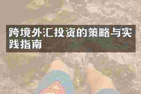跨境外汇投资的策略与实践指南