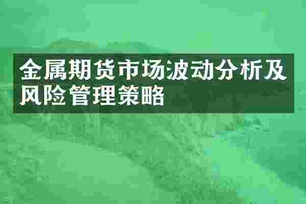 金属期货市场波动分析及风险管理策略