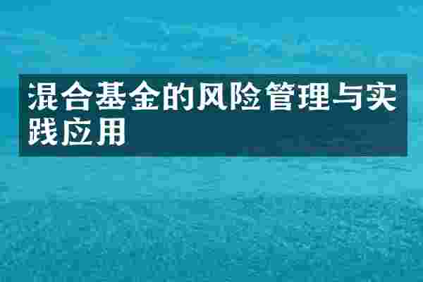 混合基金的风险管理与实践应用