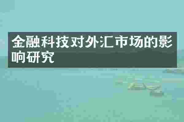 金融科技对外汇市场的影响研究