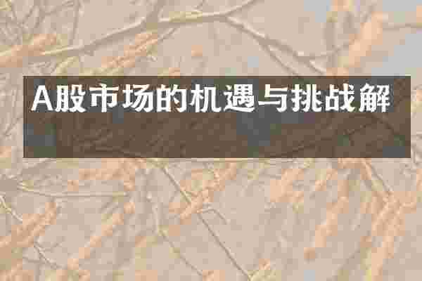 A股市场的机遇与挑战解析