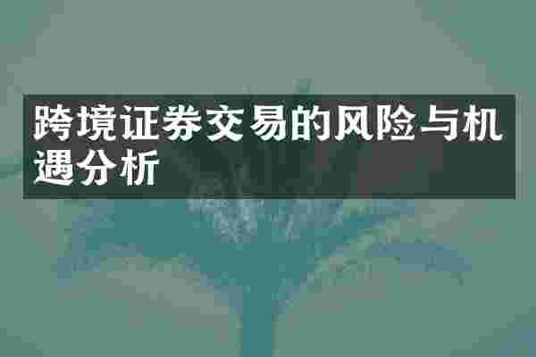 跨境证券交易的风险与机遇分析