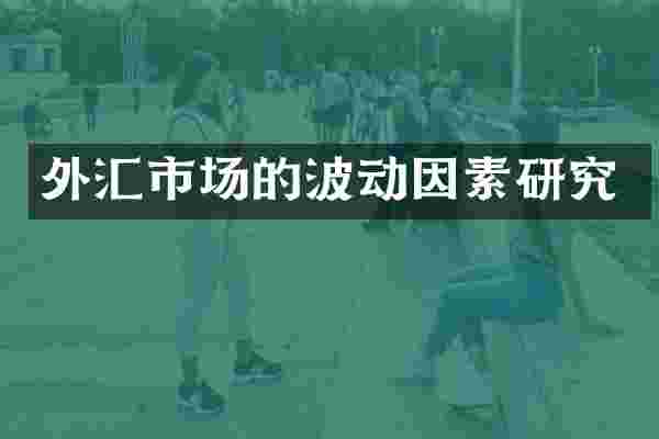 外汇市场的波动因素研究
