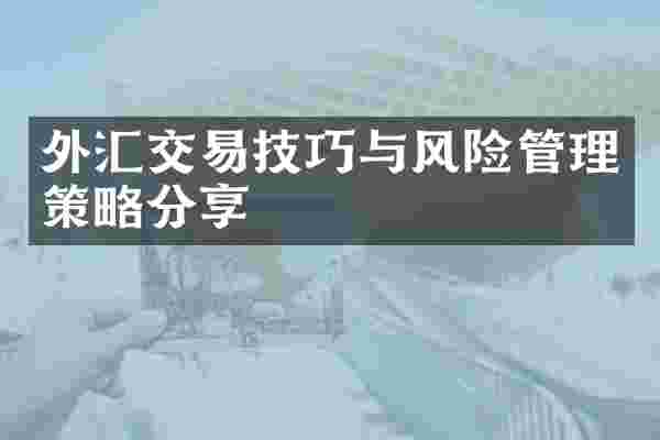 外汇交易技巧与风险管理策略分享