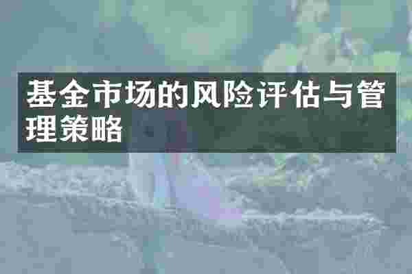 基金市场的风险评估与管理策略