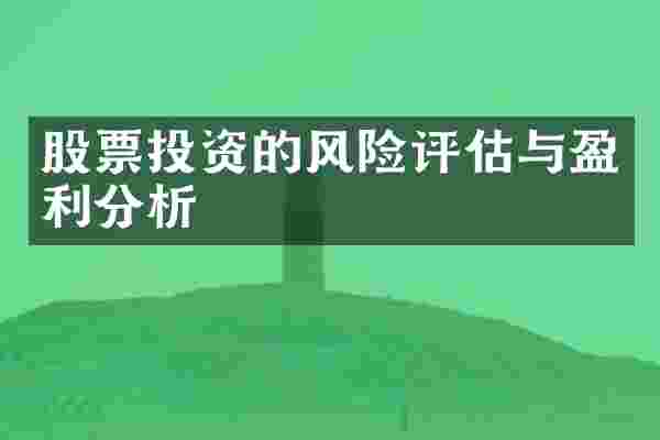 股票投资的风险评估与盈利分析