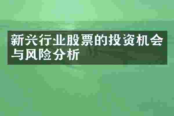 新兴行业股票的投资机会与风险分析