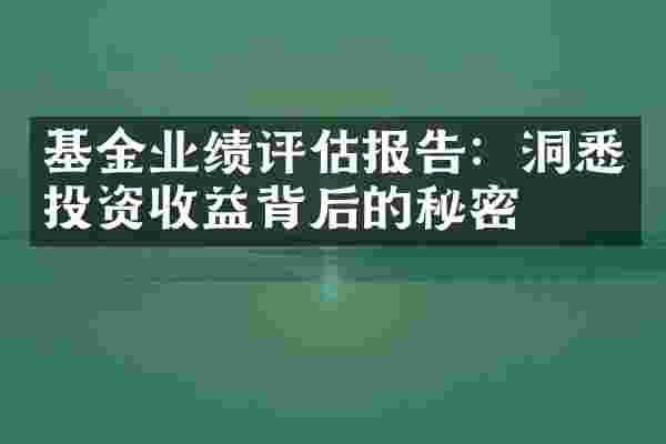 基金业绩评估报告：洞悉投资收益背后的秘密