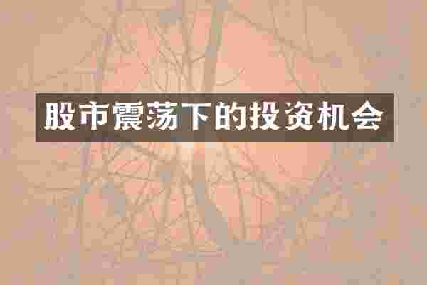 股市震荡下的投资机会