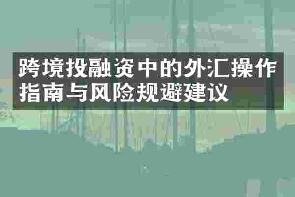 跨境投融资中的外汇操作指南与风险规避建议