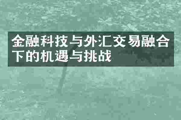 金融科技与外汇交易融合下的机遇与挑战