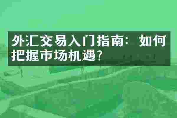 外汇交易入门指南：如何把握市场机遇？