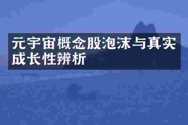 元宇宙概念股泡沫与真实成长性辨析