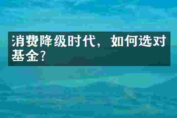 消费降级时代，如何选对基金？
