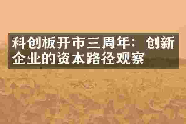 科创板开市三周年：创新企业的资本路径观察